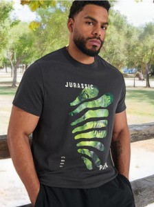 Koszulka Jurassic Park - szary