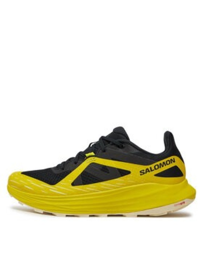 Salomon Buty do biegania Ultra Flow L47462500 Czarny