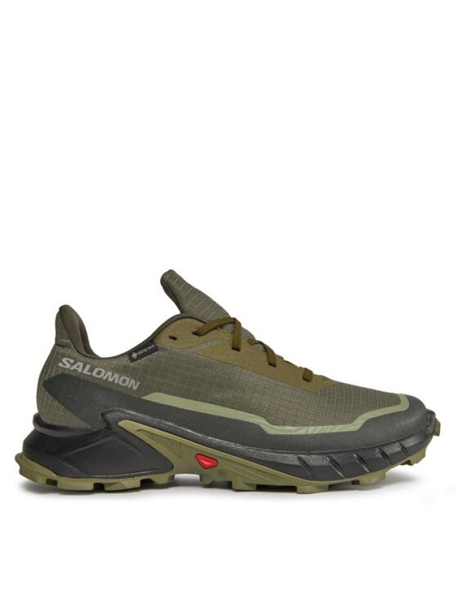 Salomon Buty do biegania Alphacross 5 Gtx GORE-TEX 473103 29 W0 Zielony