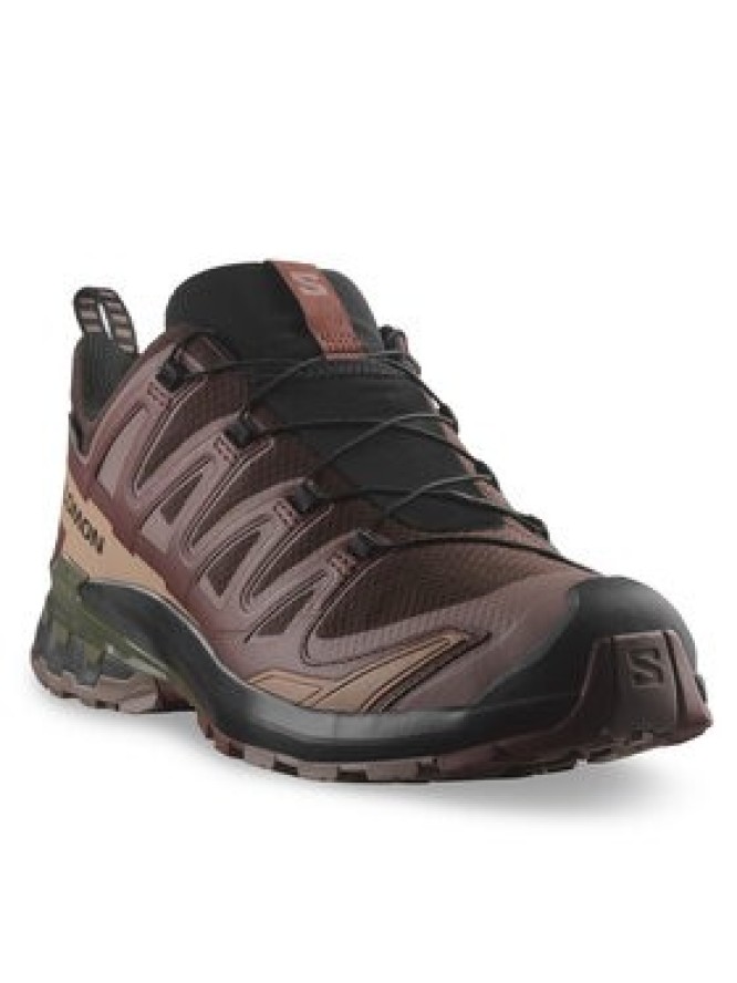 Salomon Buty do biegania Xa Pro 3D V9 Gore-Tex L47583500 Brązowy