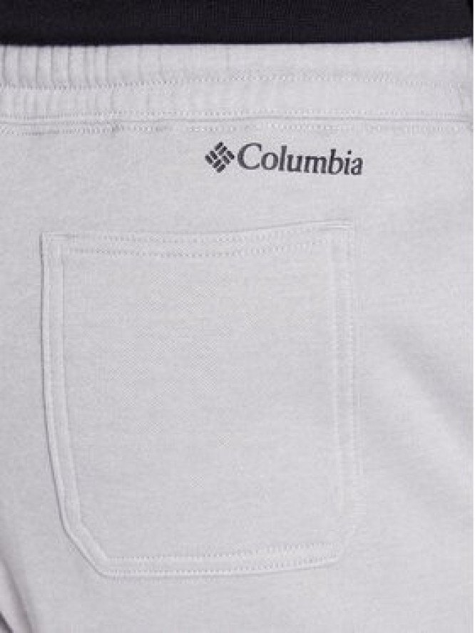 Columbia Spodnie dresowe M Trek™ Jogger Szary Regular Fit