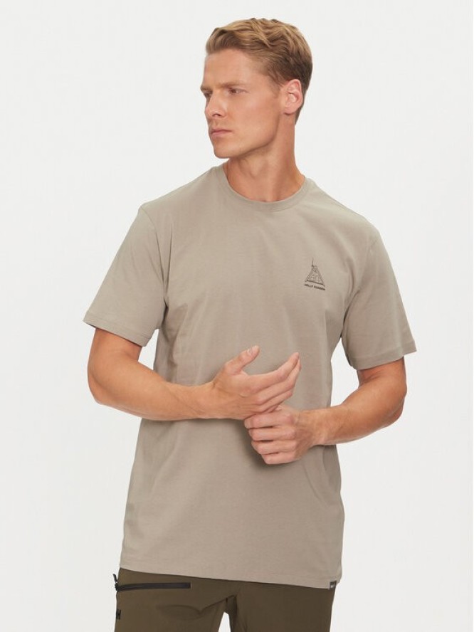 Helly Hansen T-Shirt F2f 63340 Szary Regular Fit