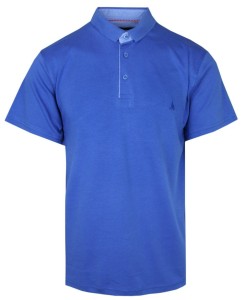 Koszulka POLO, Chabrowa Casualowa, Krótki Rękaw, Jednokolorowa, T-shirt -BARTEX