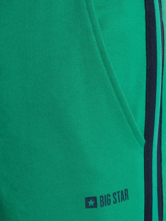 Spodnie męskie dresowe z lampasami zielone Smith 301/ Santo 301