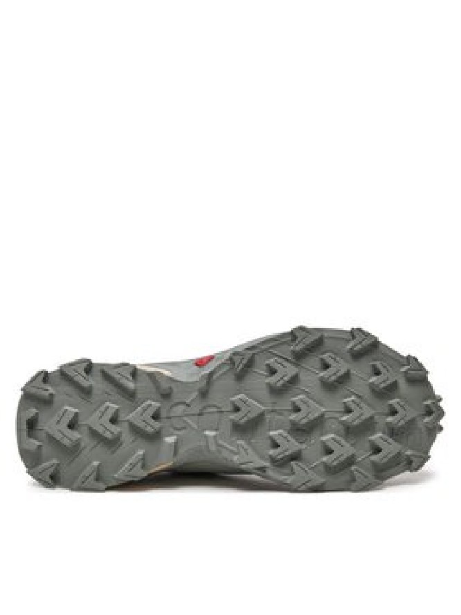 Salomon Buty do biegania Supercross 4 Gore-Tex L47594300 Szary