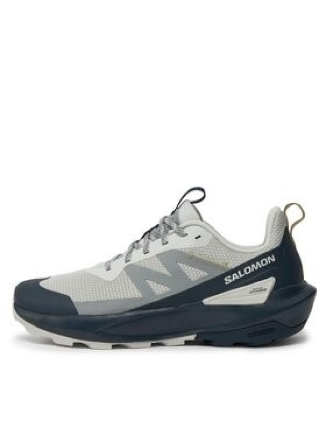 Salomon Trekkingi Elixir Activ L47455400 Szary