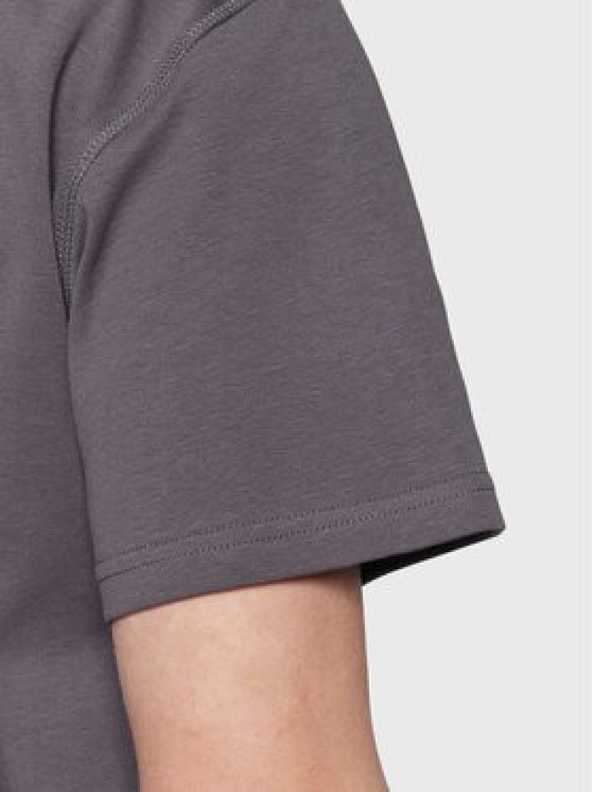 Solid T-Shirt Danton 21107307 Szary Boxy Fit