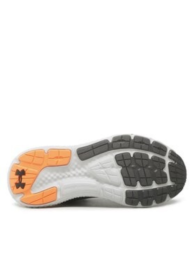 Under Armour Buty do biegania Ua Charged Rogue 3 3024877-100 Szary