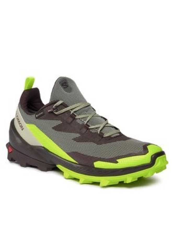 Salomon Trekkingi Cross Over 2 GORE-TEX L47268600 Zielony