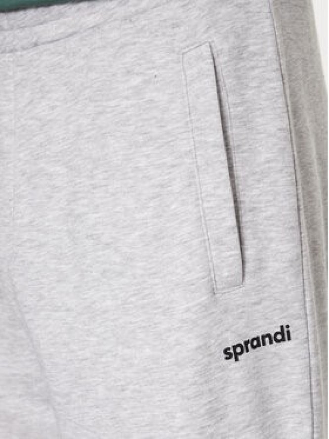 Sprandi Spodnie dresowe SP3-SPM010 Szary Regular Fit