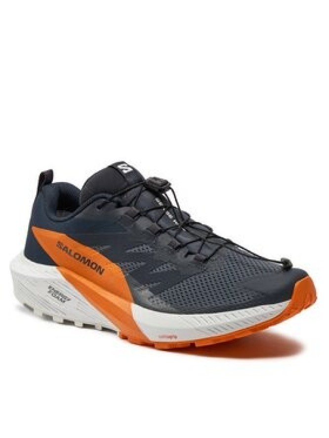 Salomon Buty do biegania Sense Ride 5 Gore-Tex L47459400 Szary