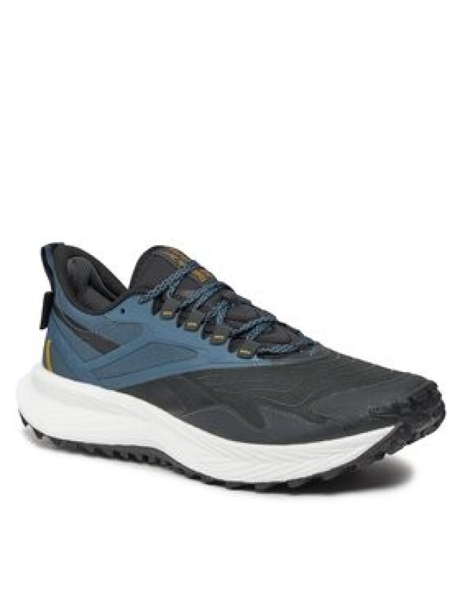 Reebok Buty do biegania Floatride Energy 5 Adventure IE9587 Szary