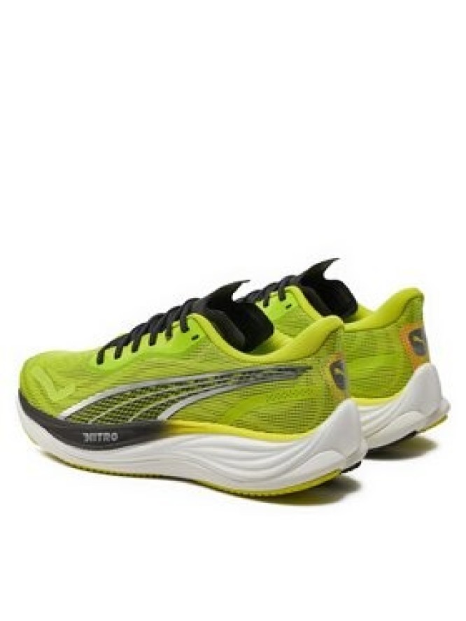 Puma Buty do biegania 380080 01 Zielony