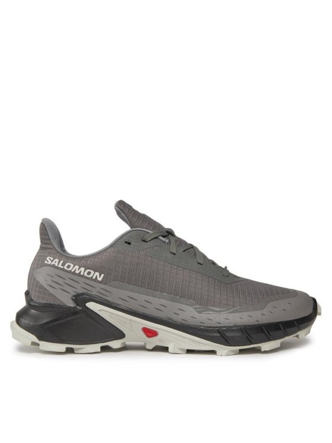 Salomon Buty do biegania Alphacross 5 473133 29 W0 Szary