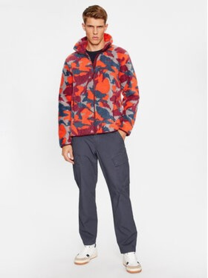 Helly Hansen Kurtka przejściowa Panorama Printed Pile 49512 Kolorowy Regular Fit