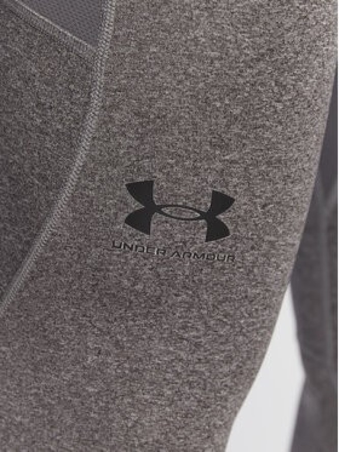 Under Armour Legginsy ColdGear® 1366075 Szary Skinny Fit