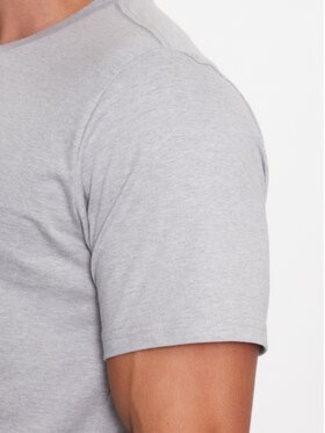Columbia T-Shirt Rapid Ridge™ Back Graphic Tee II Szary Regular Fit
