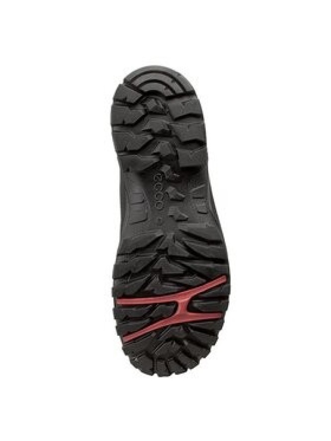 ECCO Trekkingi Xpedition III 81117453859 Czarny