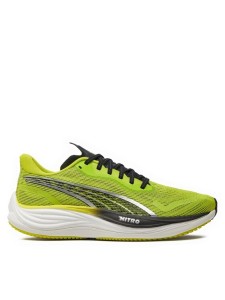 Puma Buty do biegania 380080 01 Zielony