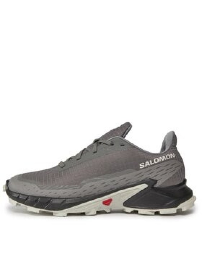 Salomon Buty do biegania Alphacross 5 473133 29 W0 Szary