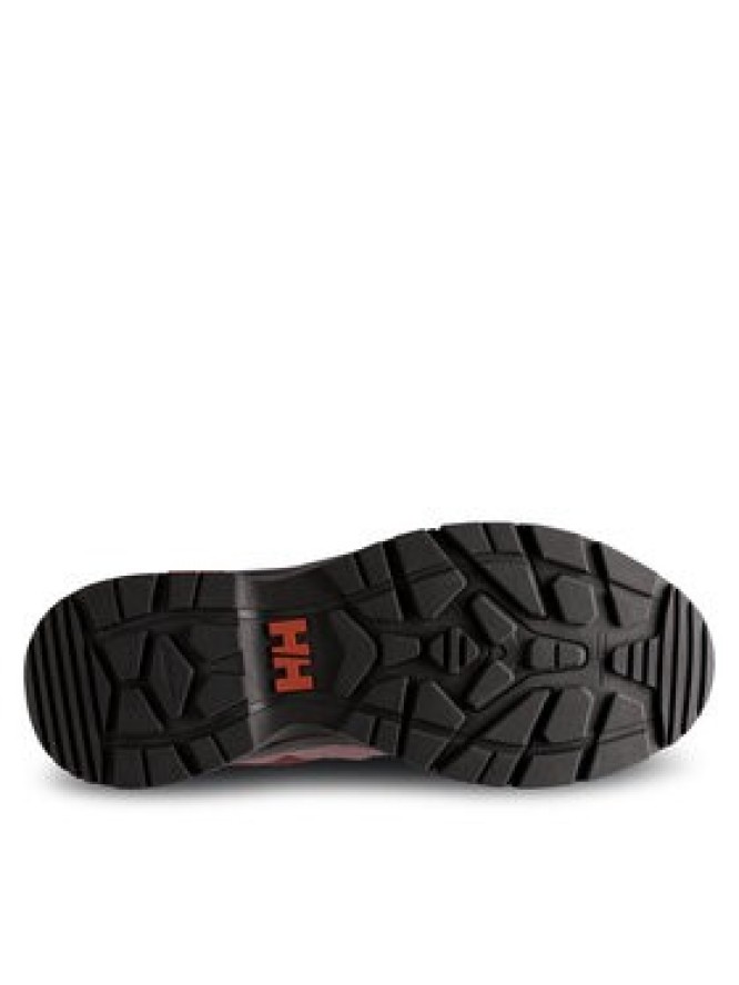 Helly Hansen Trekkingi 11751 Brązowy