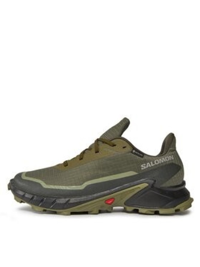 Salomon Buty do biegania Alphacross 5 Gtx GORE-TEX 473103 29 W0 Zielony