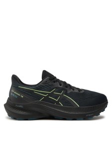 Asics Buty do biegania Gt-2000 12 Gtx GORE-TEX 1011B687 Czarny