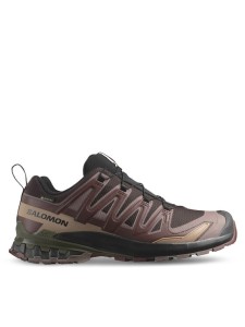 Salomon Buty do biegania Xa Pro 3D V9 Gore-Tex L47583500 Brązowy