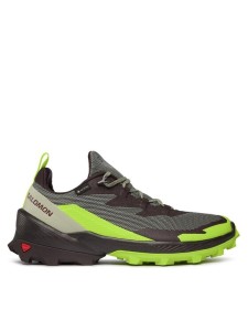 Salomon Trekkingi Cross Over 2 GORE-TEX L47268600 Zielony