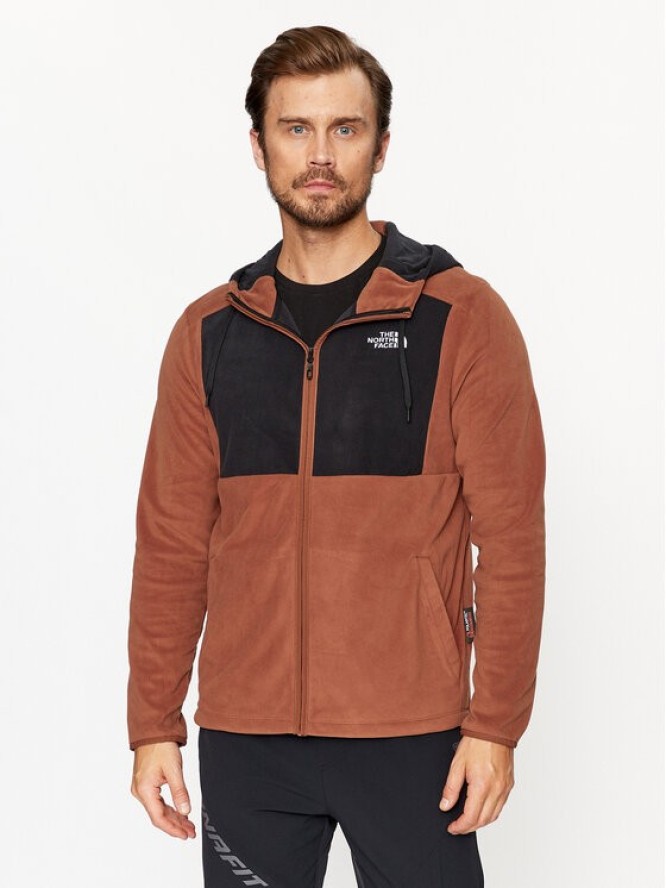 The North Face Bluza Homesafe NF0A855J Brązowy Regular Fit