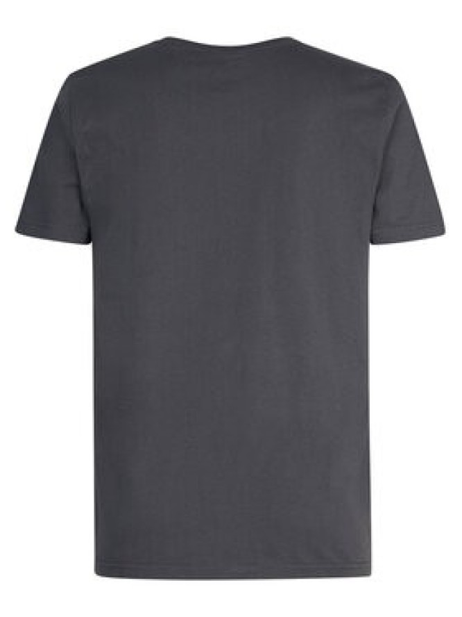 Petrol Industries T-Shirt M-3030-TSR620 Szary Regular Fit