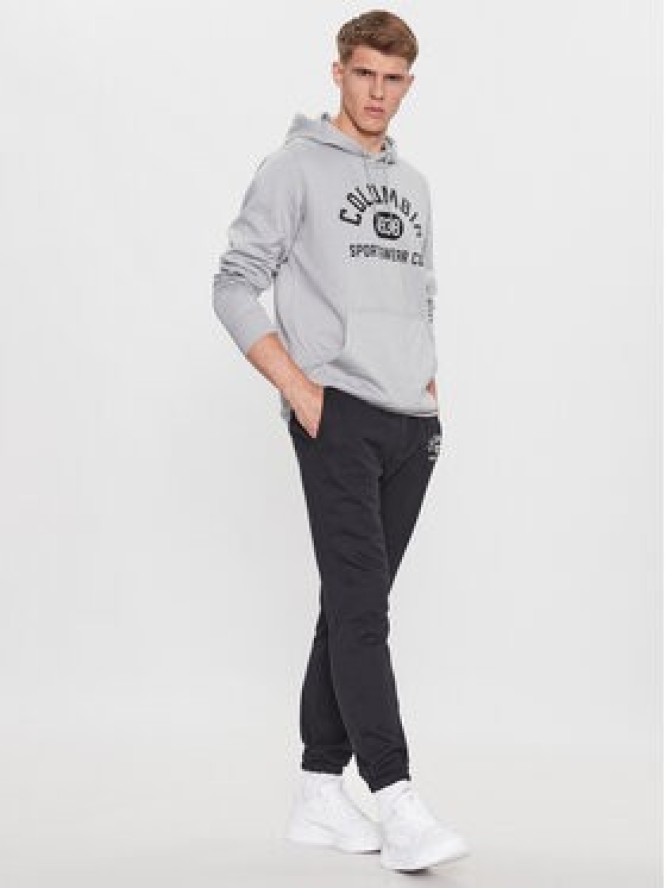 Columbia Bluza Trek™ Hoodie 195791 Szary Regular Fit