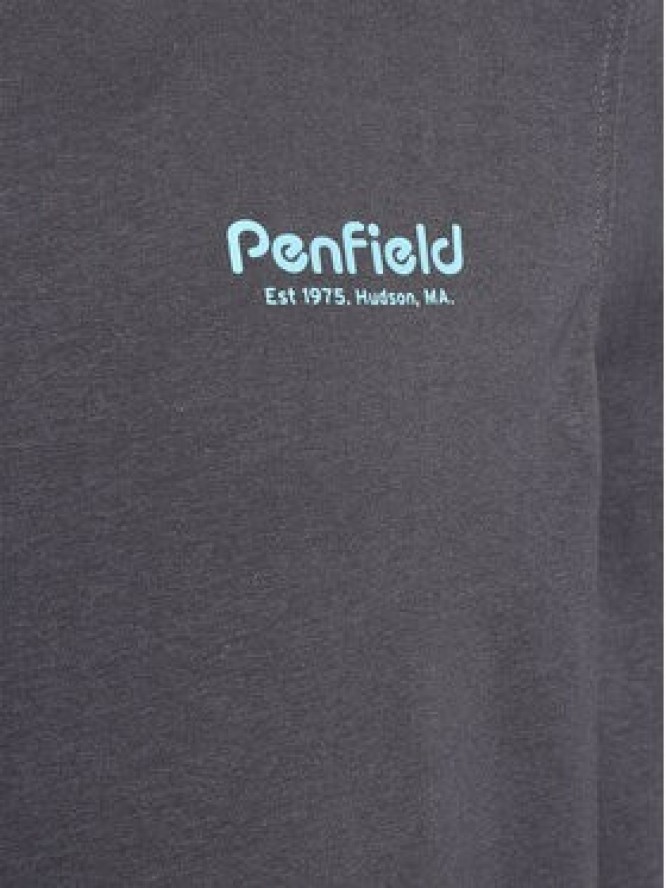 Penfield Longsleeve PFD0282 Szary Regular Fit