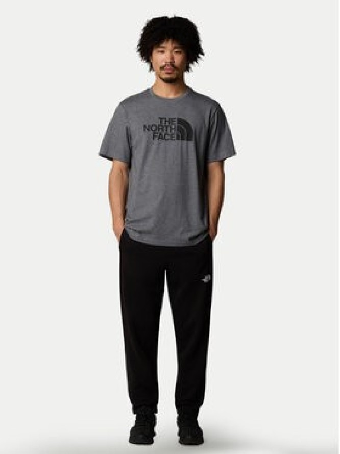 The North Face T-Shirt Easy NF0A8A6C Szary Regular Fit