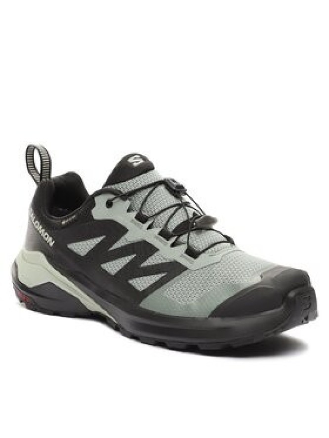 Salomon Buty do biegania X-Adventure Gtx L47321200 Szary