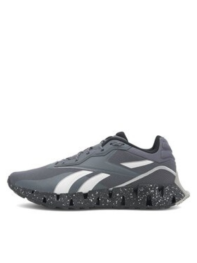 Reebok Buty do biegania Zig Dynamica 4 Adventure 100074699 Szary