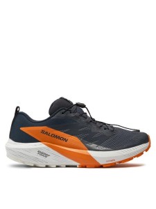 Salomon Buty do biegania Sense Ride 5 Gore-Tex L47459400 Szary