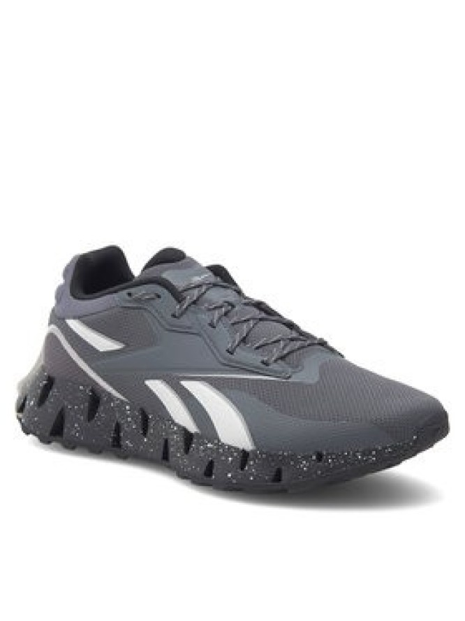 Reebok Buty do biegania Zig Dynamica 4 Adventure 100074699 Szary