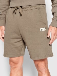 Alpha Industries Szorty sportowe 106365 Brązowy Regular Fit