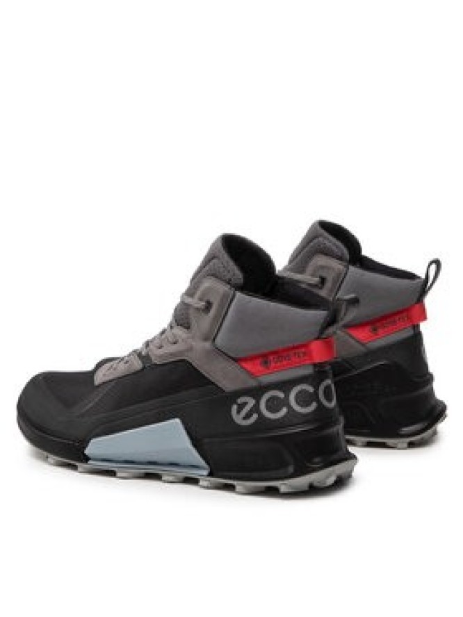 ECCO Trekkingi Biom 2.1 X Mountain M GORE-TEX 82380450598 Szary