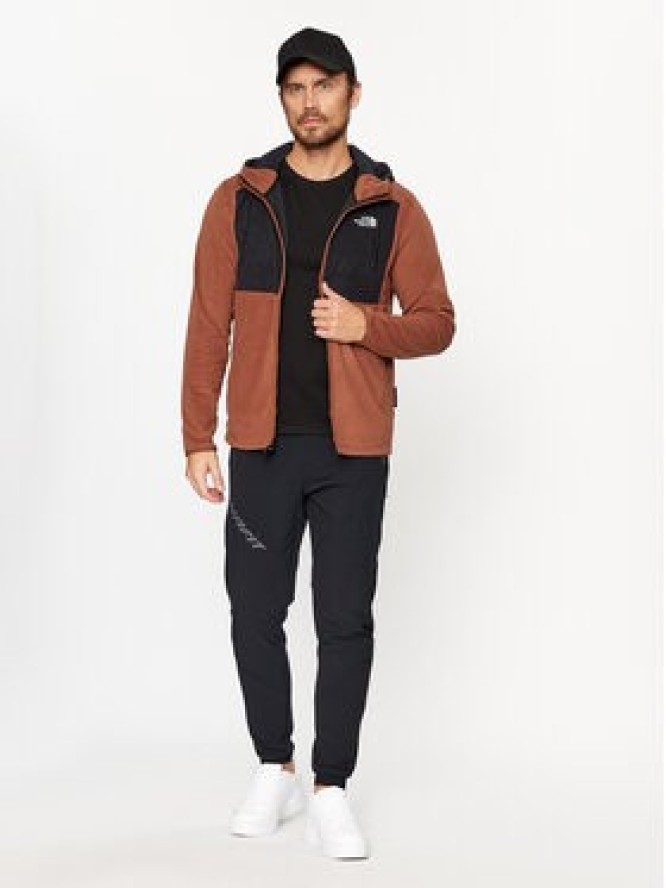 The North Face Bluza Homesafe NF0A855J Brązowy Regular Fit