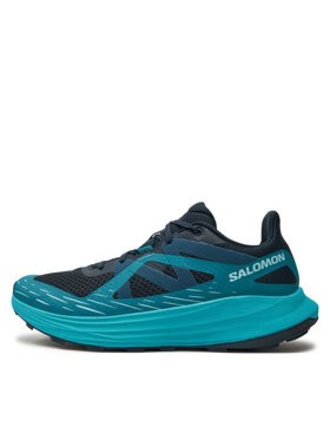 Salomon Buty do biegania Ultra Flow L47485200 Szary