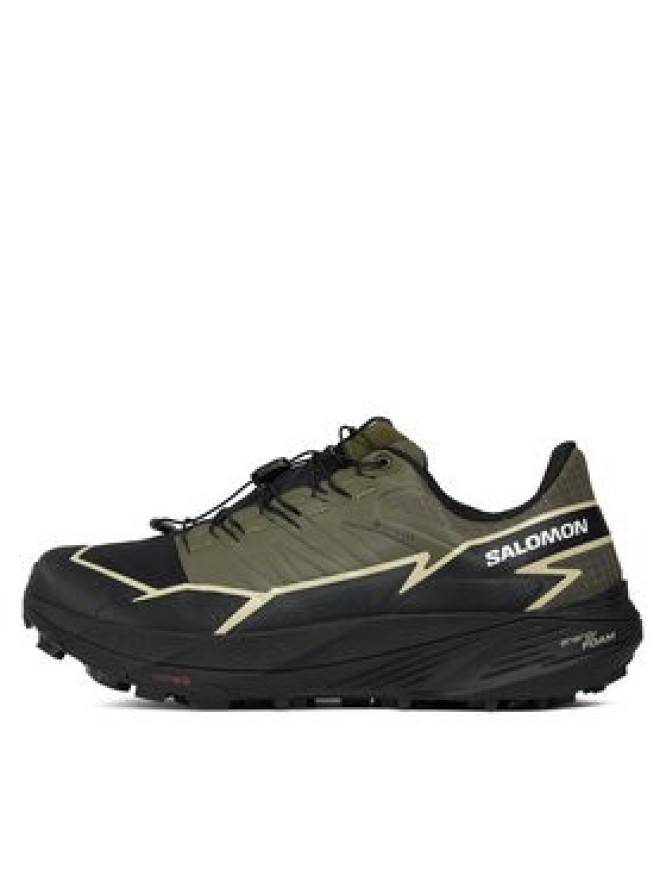 Salomon Buty do biegania Thundercross GORE-TEX L47383400 Zielony